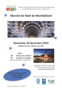 Sortie au marché de Noël à Montbéliard