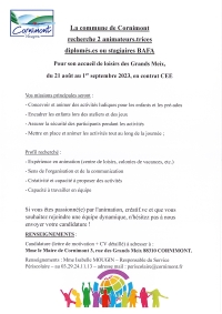 Offre d&#039;emploi contrats CEE pour l&#039;ALSH
